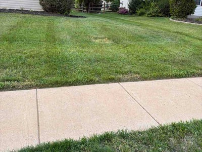 Lawn care service in Middletown, 19709