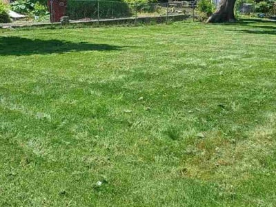 Lawn care service in Naugatuck, 06770