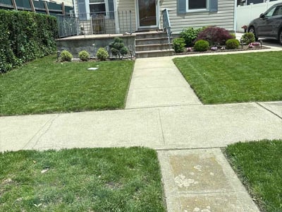 Lawn care service in Queens, 11040