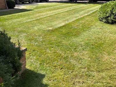 Lawn care service in Cleveland Heights, 44121