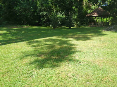Lawn care service in New Bern, 28560