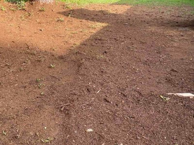 Lawn care service in Riverdale, 30274