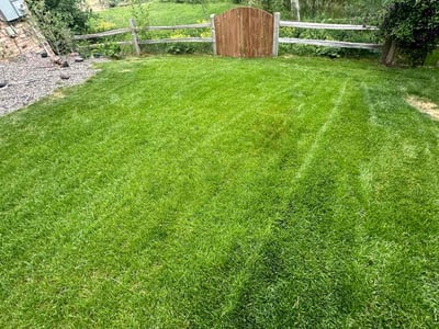 Lawn care service in Lakewood, 80227