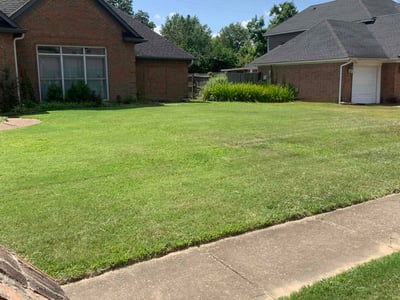 Lawn care service in Memphis, 38125