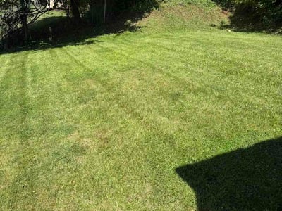 Lawn care service in Pittsburgh, 15234