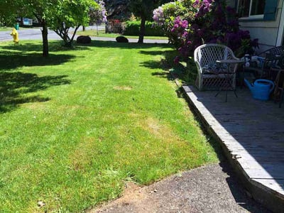 Lawn care service in Portland, 97233