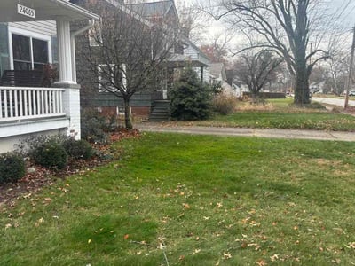 Lawn care service in South Euclid, 44118