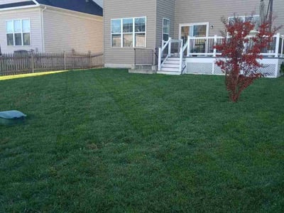Lawn care service in Purcellville, 20132
