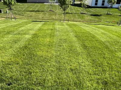 Lawn care service in Pickerington, 43147