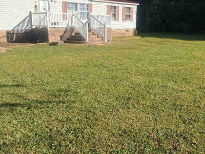 Lawn care service in Timmonsville, 29161