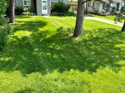 Lawn care service in Livonia, 48150