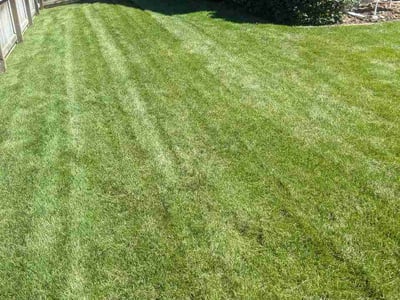 Lawn care service in Centennial, 80112