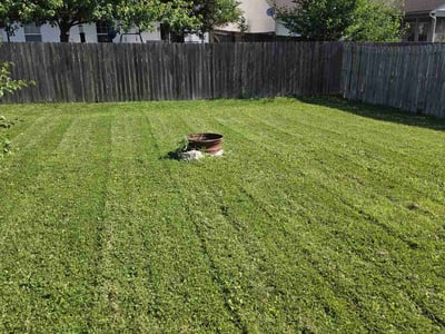 Lawn care service in Indianapolis, 46224