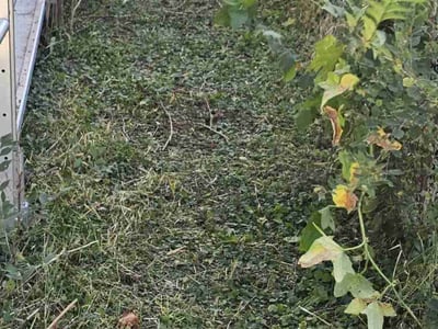 Lawn care service in Minneapolis, 55404