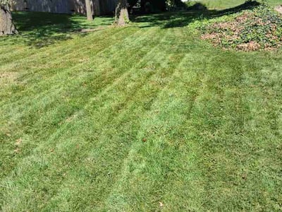 Lawn care service in Burns Harbor, 46304