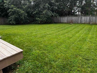 Lawn care service in Warrenton, 20186