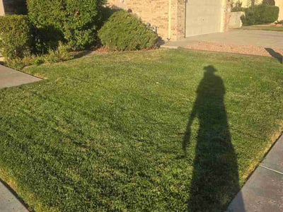 Lawn care service in Albuquerque, 87123