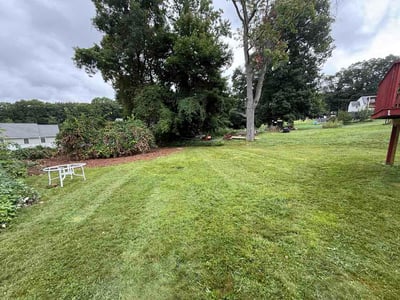 Lawn care service in Bristol, 06010