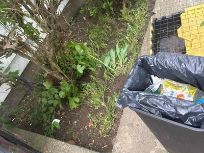 Lawn care service in Providence, 02904