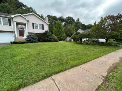 Lawn care service in Manchester, 06040