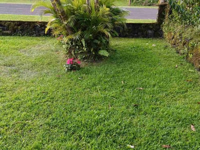 Lawn care service in Pāhoa, 96778