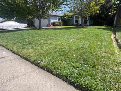 Lawn care service in San Jose, 95128