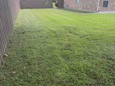 Lawn care service in New Orleans, 70114