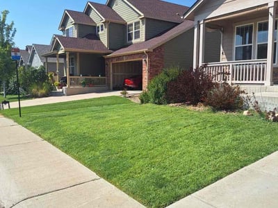 Lawn care service in Thornton, 80602