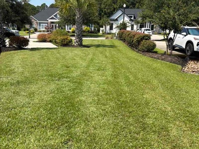 Lawn care service in Conway, 29526