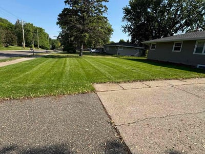 Lawn care service in Roseville, 55113