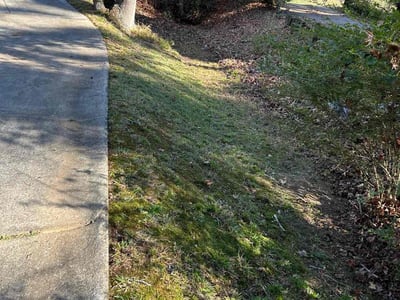 Lawn care service in , 
