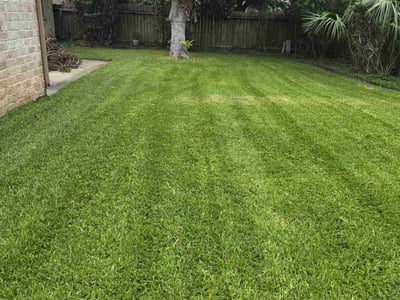 Lawn care service in Sugar Land, 77479