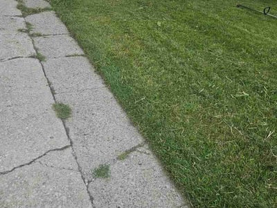 Lawn care service in Toledo, 43614