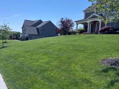 Lawn care service in Hummelstown, 17036
