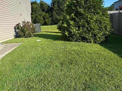 Lawn care service in Benson, 27504