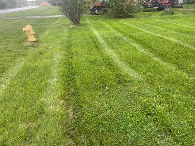 Lawn care service in Mount Morris, 48458