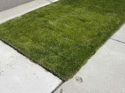 Lawn care service in Parker, 80134