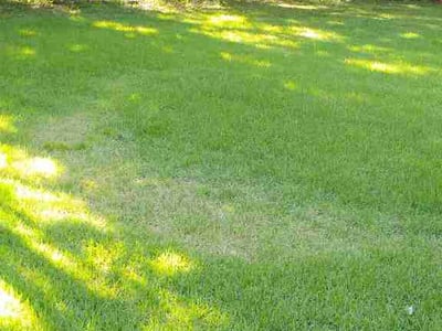 Lawn care service in Forest Park, 30297