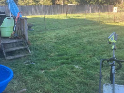 Lawn care service in Olympia, 98516