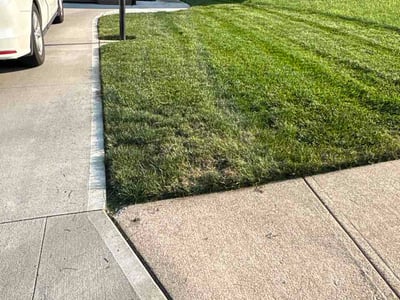 Lawn care service in Omaha, 68137
