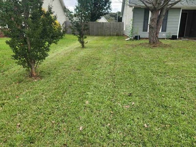 Lawn care service in Fayetteville, 28314