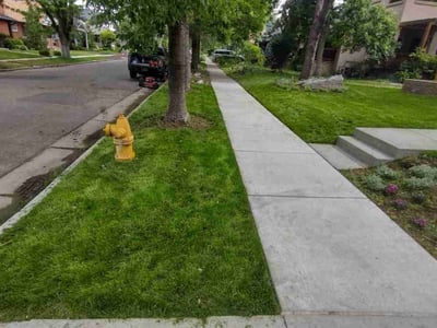Lawn care service in Denver, 80209