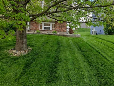 Lawn care service in Kansas City, 64156
