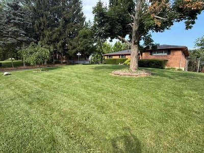 Lawn care service in Cincinnati, 45237