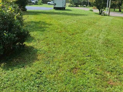Lawn care service in Gray, 37615
