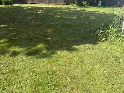 Lawn care service in Appleton, 54911