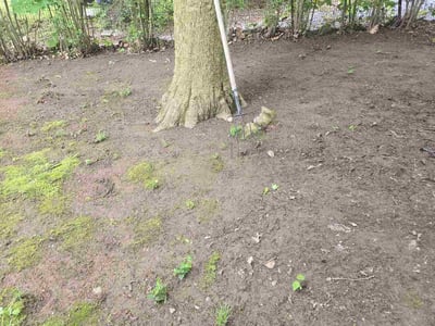 Lawn care service in Easton, 18042