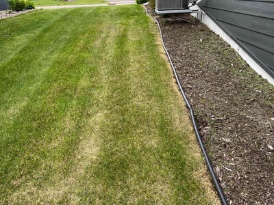 Lawn care service in Plymouth, 55446