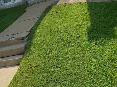 Lawn care service in St. Louis, 63111