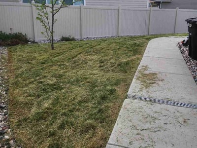 Lawn care service in Thornton, 80602